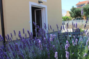 Studio Lavanda in Kornić, Krk